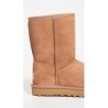 Bottes UGG Classic Short II | Confort Garanti